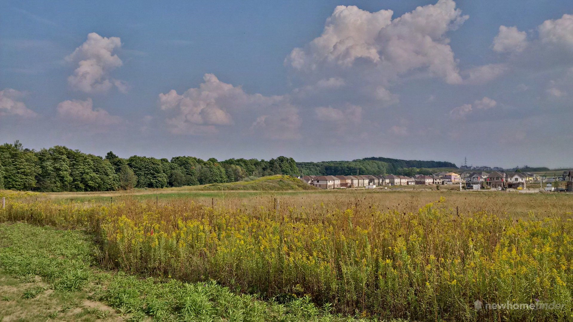 A view from Fusion's Vista Hill site
