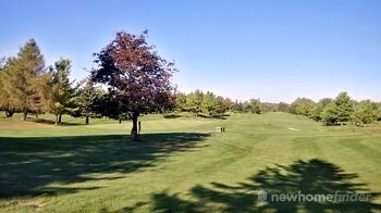 Springfield Golf Course off Hwy 6