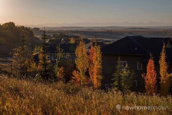 Rolling Hills