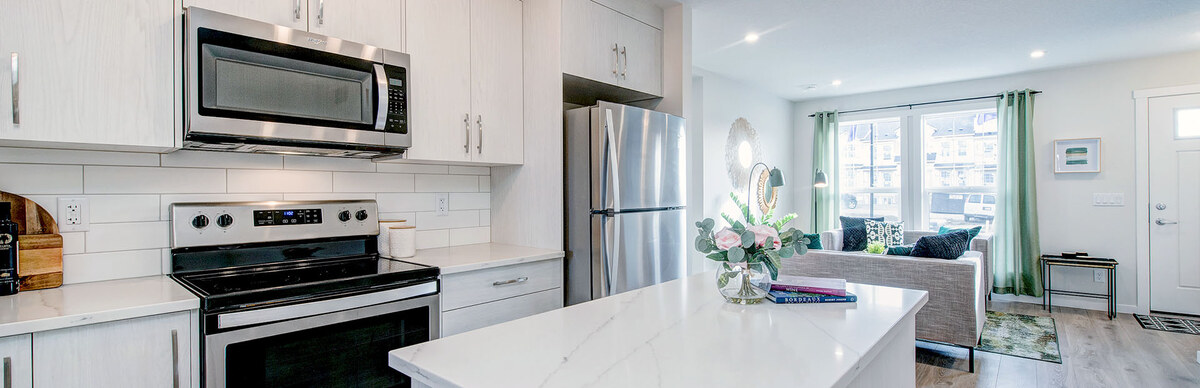 ZEN Belmont home interior or rendering