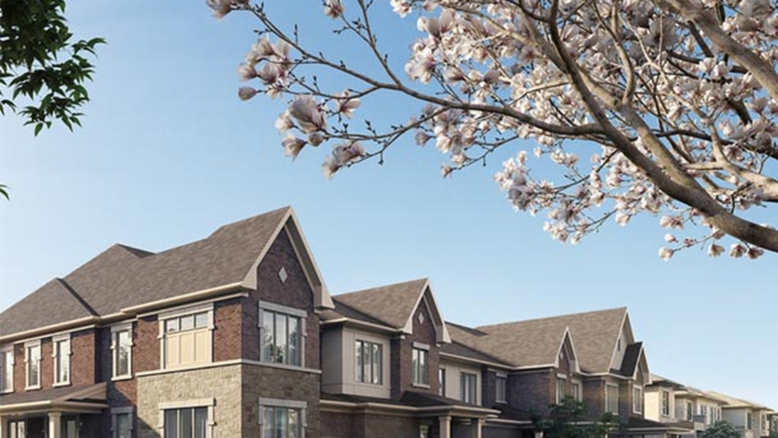 Park & Main townhome streetscape