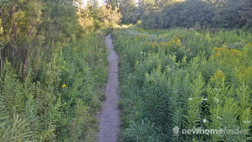 Eramosa River Trail (goes downtown along Eramosa River)