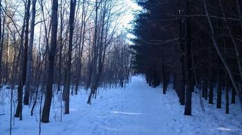 The Royal Recreational Trail goes all the way to downtown Guelph and beyond! Great for joggers, bikers or walkers of all ages