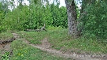 Trails of this nature run along the banks