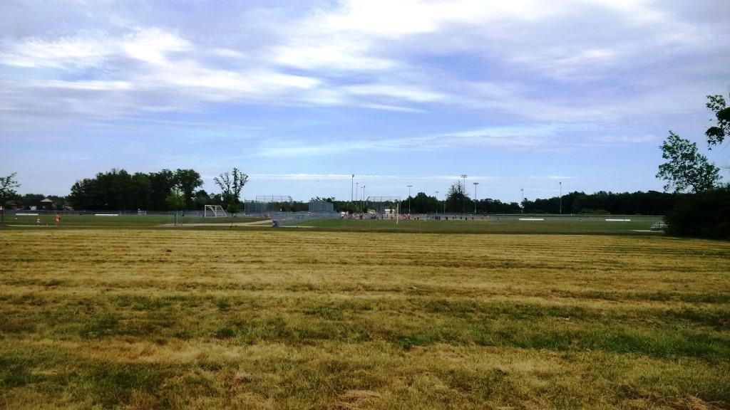 Chippawa Service Club - huge sport fields right next to this development