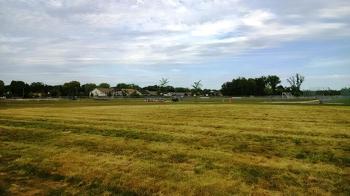 The grass is yellow because it was used for parking