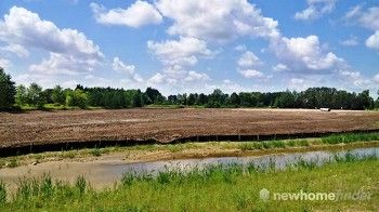 Ussher's Creek Site