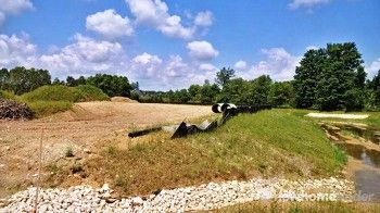 Ussher's Creek Site