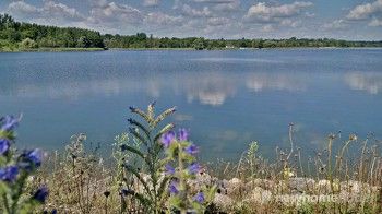 Guelph Lake 