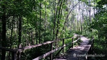 Tilts Bush boardwalk