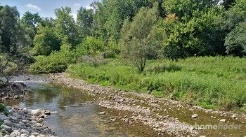 Schneider Creek