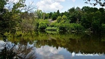 Slow moving area of the Grand River - seen from Walter Bean Trail