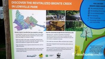 Rivitalized Bronte Creek in Lowville Park