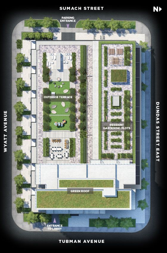 Site plan for The Wyatt in Toronto, Ontario