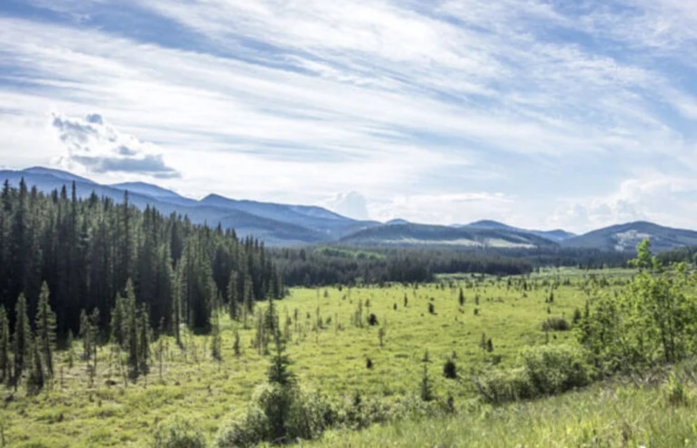 Alpine Park official Cardel Homes image