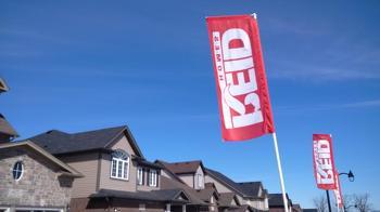 Proud Reid Flags