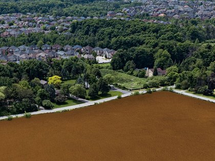 Official source image for Jefferson Reserve.