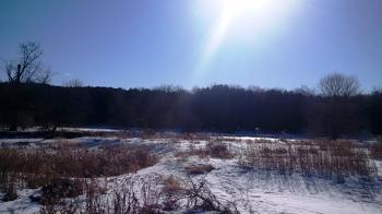 The river. The mink was below...