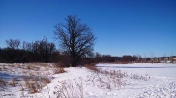 Looking left along the river