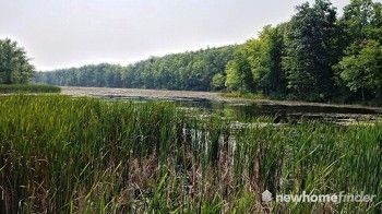 Wolfe Lake at Terra Cotta