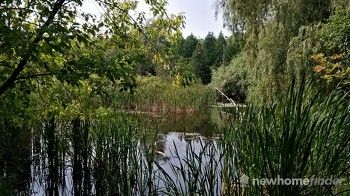 Terra Cotta Pond