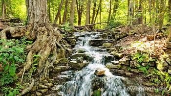 Silver Creek