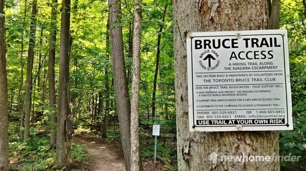 Bruce Trail runs through Silver Creek Conservation Area