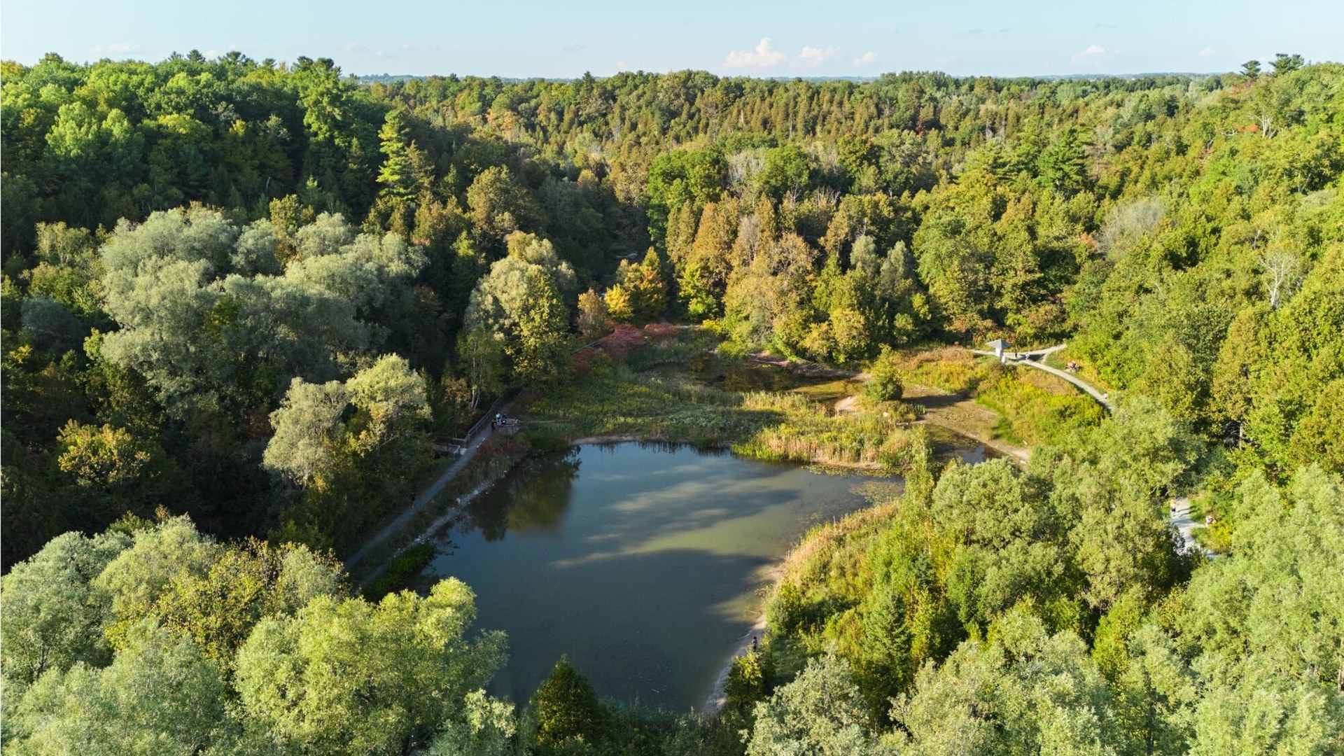 Green space near Ashburn Hills