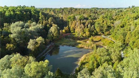 Green space near Ashburn Hills