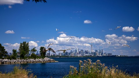 Toronto skyline near BLVD. Q