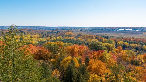 Hawthorne on Trafalgar streetscape by Mattamy Homes