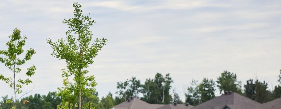 New homes at Mount Pleasant West development by Mattamy Homes in Brampton, Ontario
