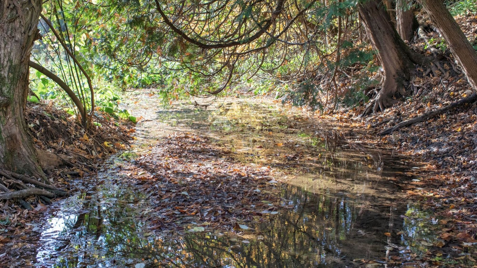 Nature and recreation near Seaton Whitevale