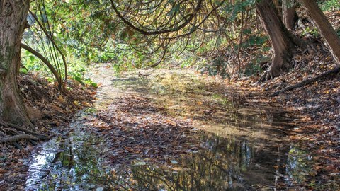 Nature and recreation near Seaton Whitevale