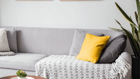 The Bright Building suite design