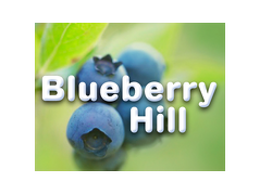 Find new homes at Blueberry Hill