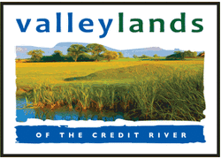 Find new homes at Valleylands of the Credit River (FG)