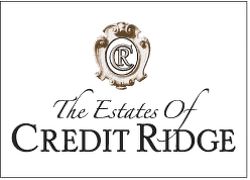 Find new homes at The Estates of Credit Ridge