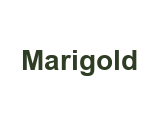 Marigold by Mosaic in West Vancouver