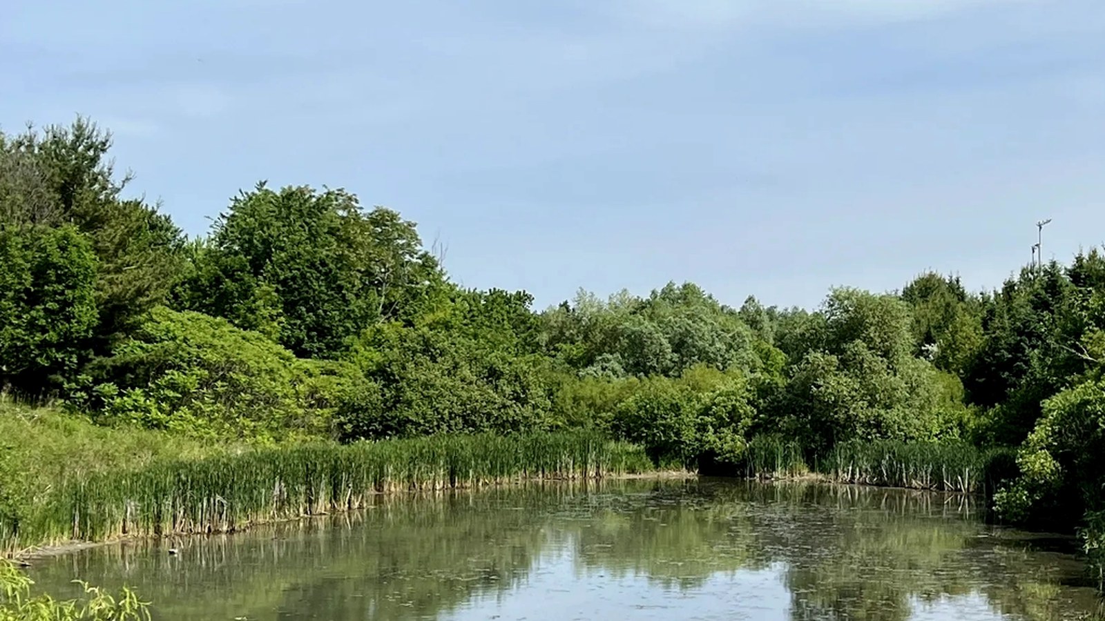 Unionglen nearby river setting