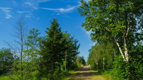 Trails of Lily Lake official image 3