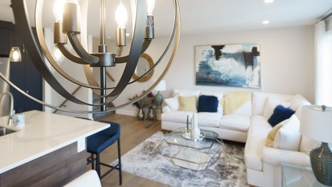 The Nest 2