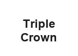 New homes at Triple Crown development by The Remington Group in King City, Ontario