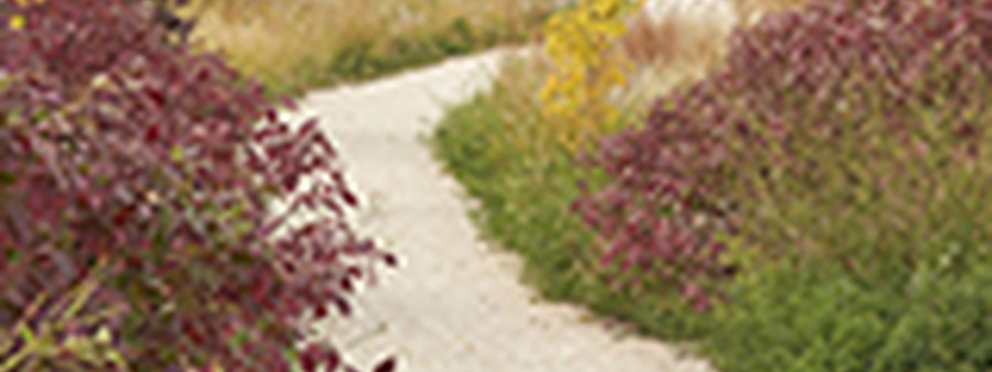 New homes at Sage Creek development by Qualico in Winnipeg, Manitoba