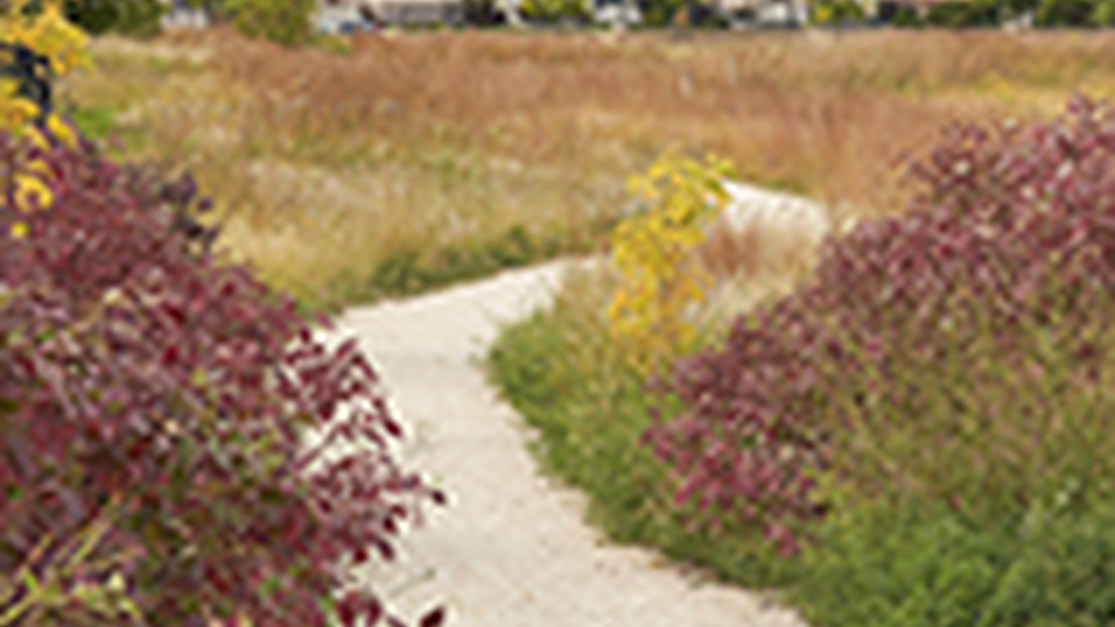 Sage Creek image