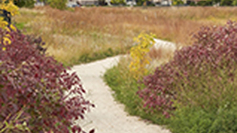 A landscaped trail in Sage Creek