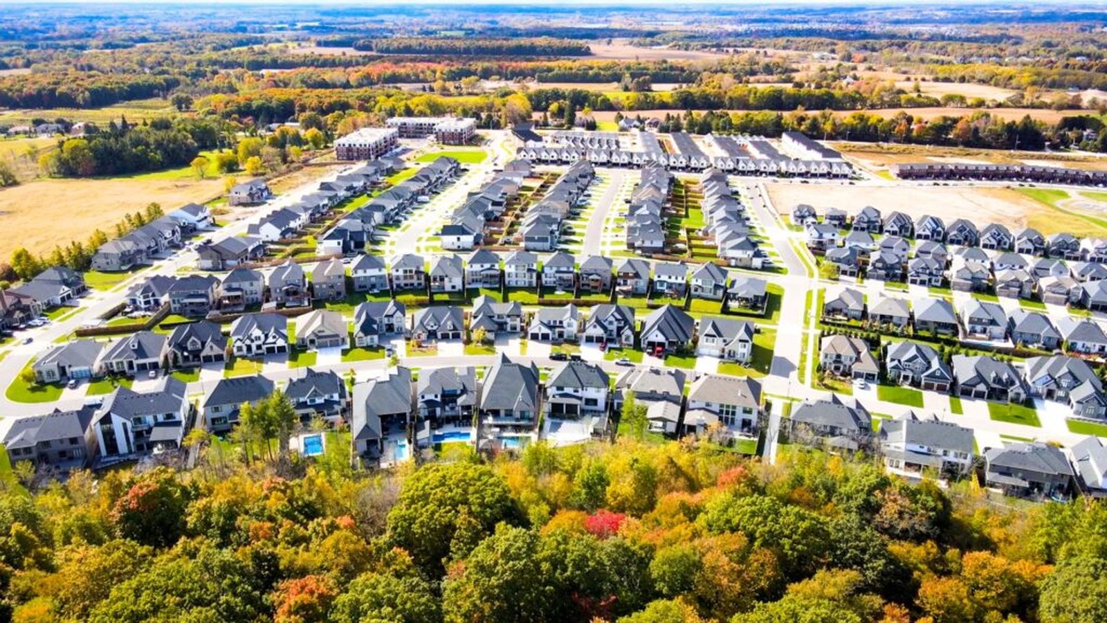 Aerial view of homes and trees at Warbler Woods in London