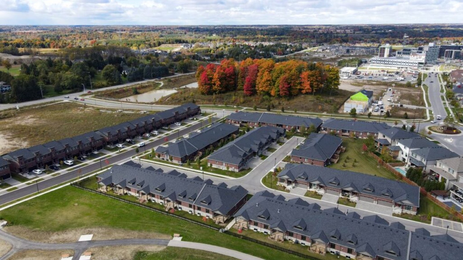 Townhome area and nearby woodland at Warbler Woods